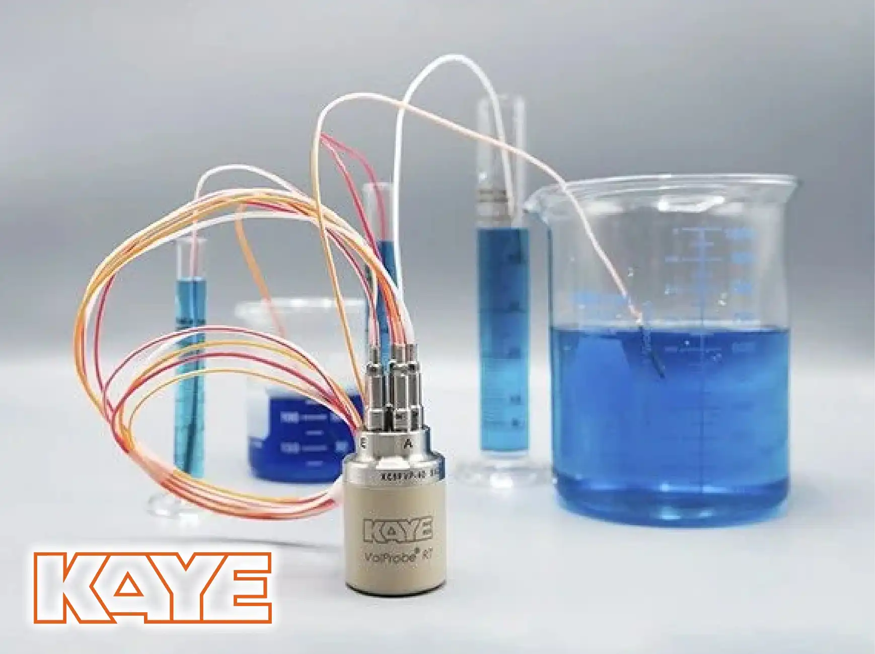 KAYE Wireless (RF) ValProbe RT System.